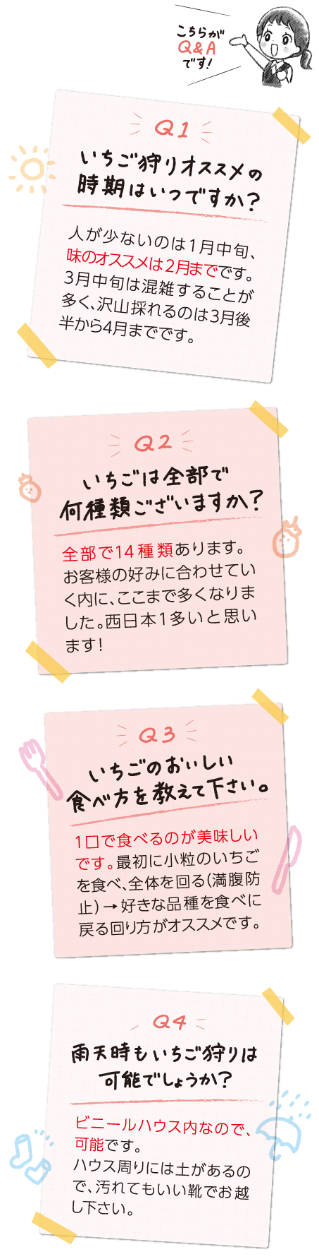 21年春号no 1 Annストロベリーファームさん トヨタカローラ山口