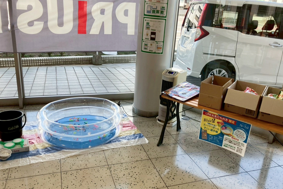 トヨタカローラ山口_宇部店内観