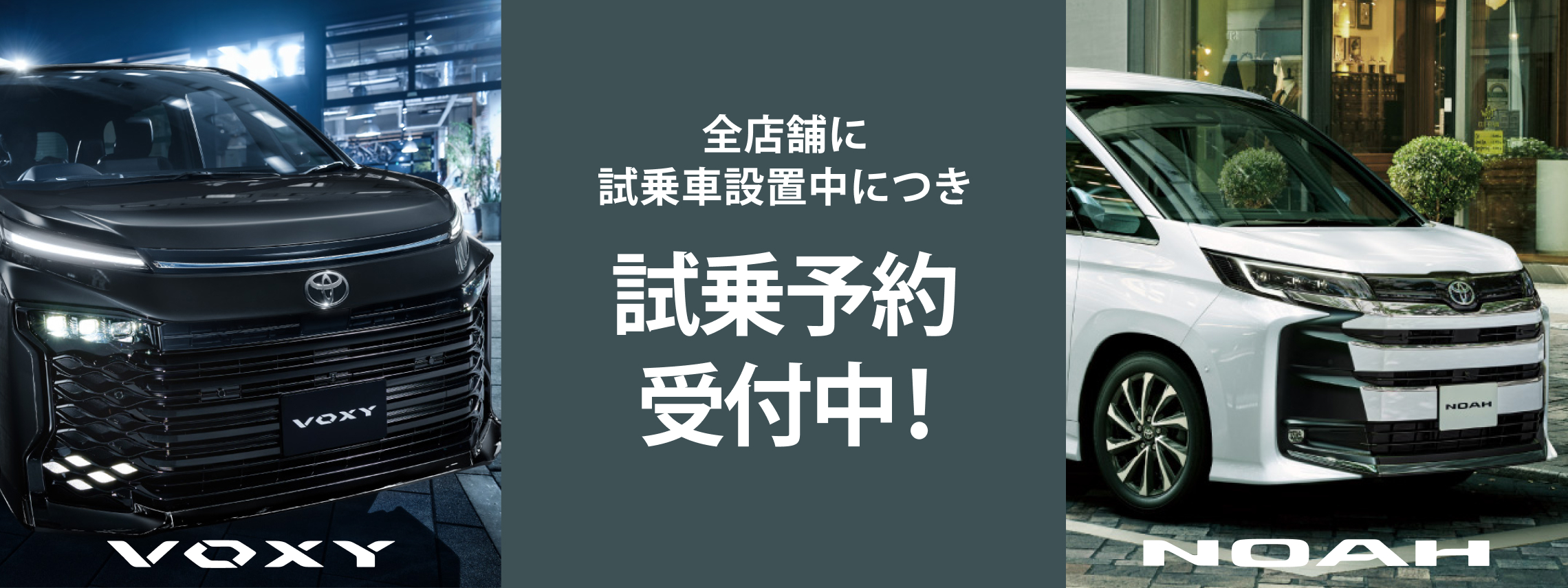 ノアヴォクシー試乗予約受付中！